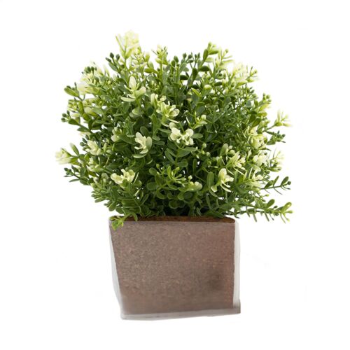 Green Seed Bags flower seeds Thumbnail